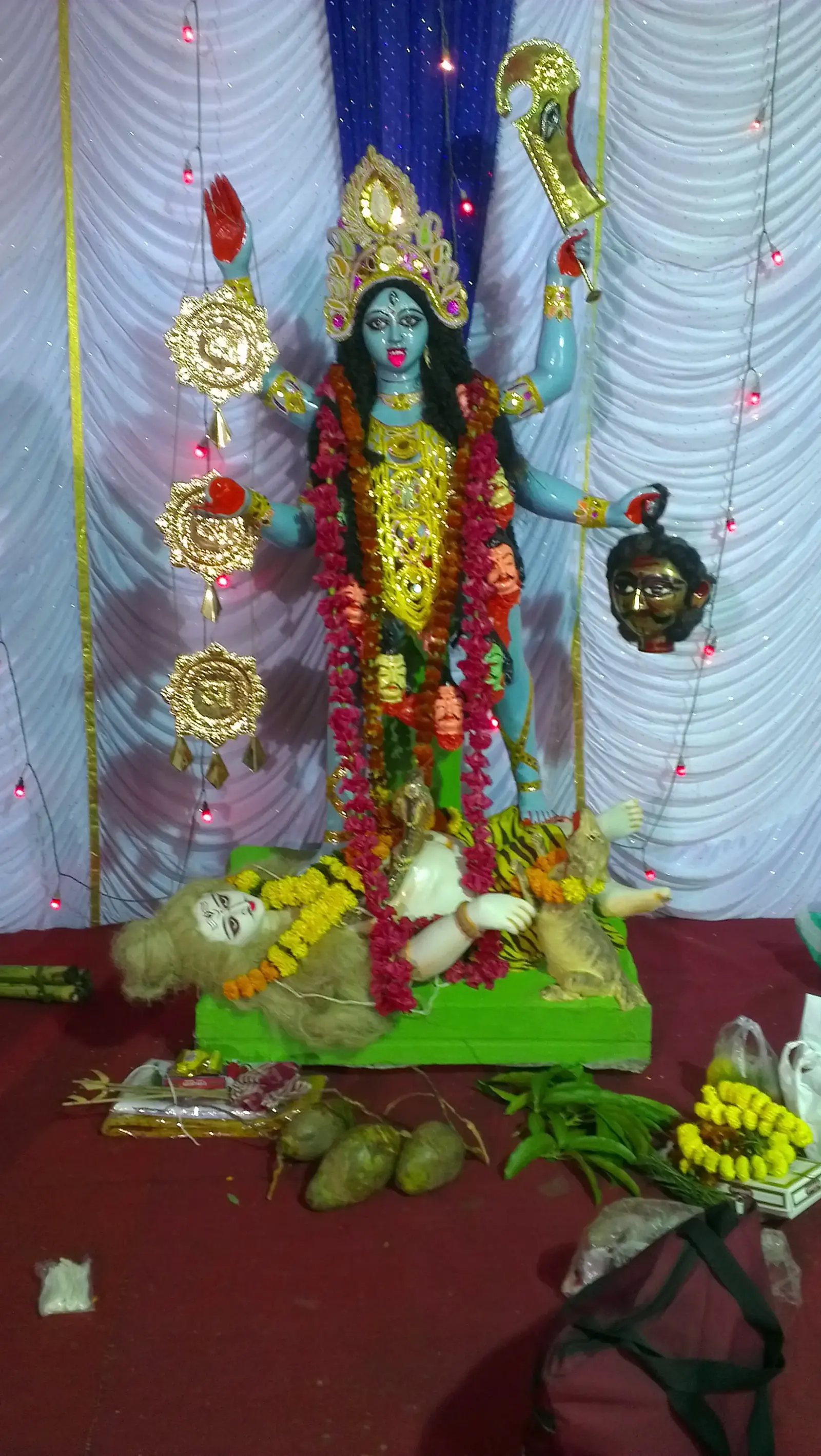 Durga Puja 2012