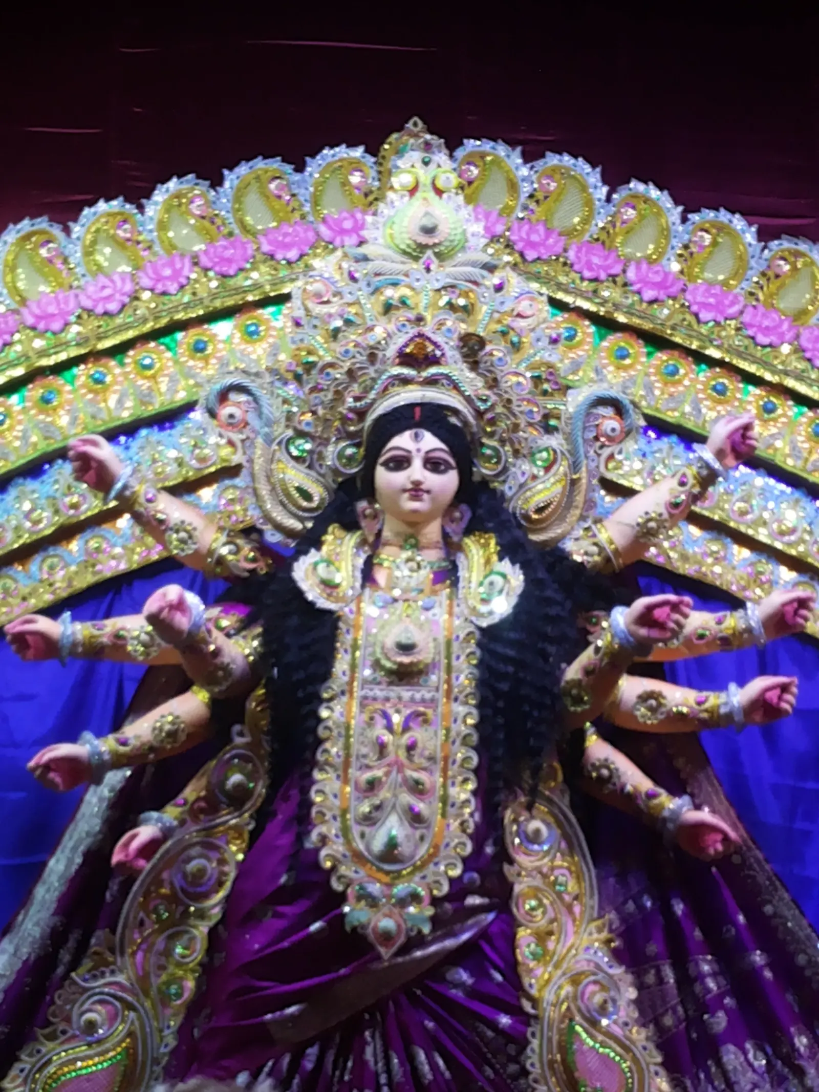 Durga Puja 2014