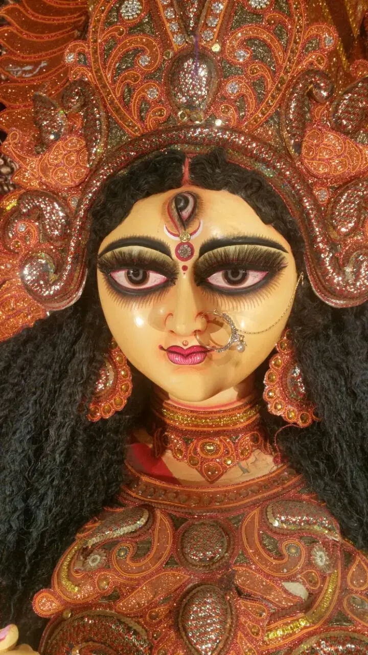 New Bengal Club Durga Puja 2017 - photo 10