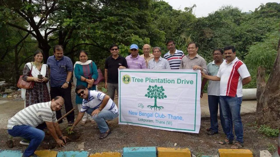 Tree Plantation Drive 2017
